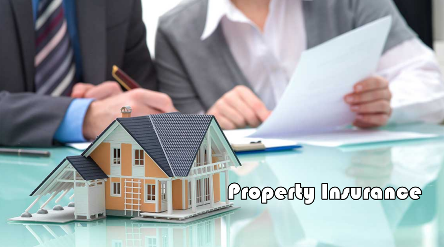 All You Need to Know About Property Insurance