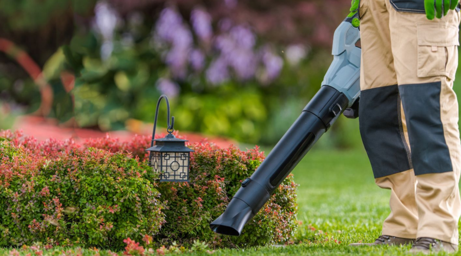 Green Lawn Care: Investigating the Advantages of Ego Leaf Blowers