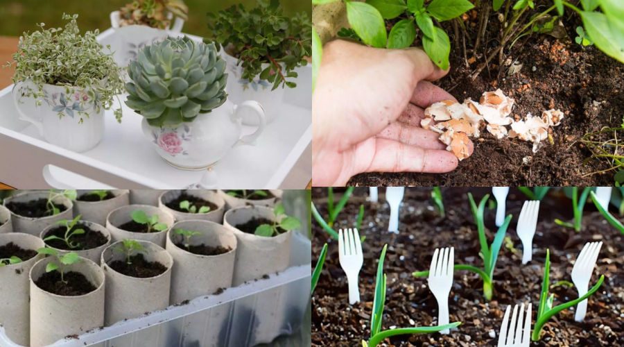 Tips for Easily Transforming Any Outdoor Space into a Garden
