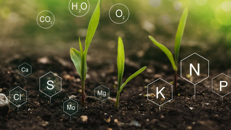Start with Healthy Soil