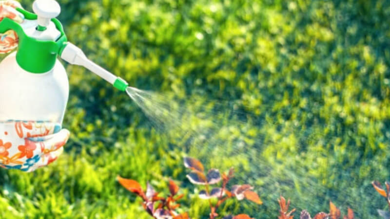 Conserve Water with Smart Irrigation