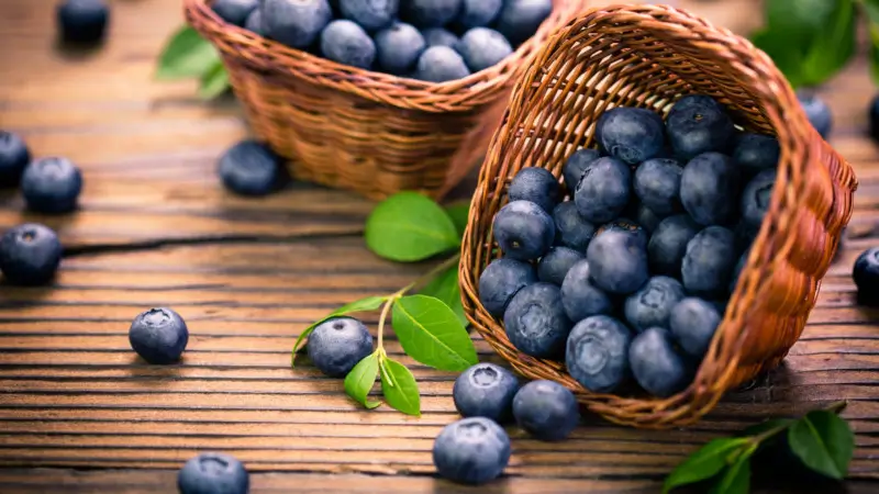 Blueberries – The Antioxidant Powerhouse